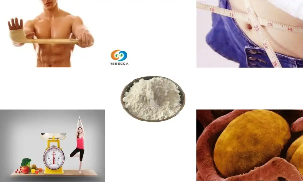 Can soy isoflavones powder cause weight gain?